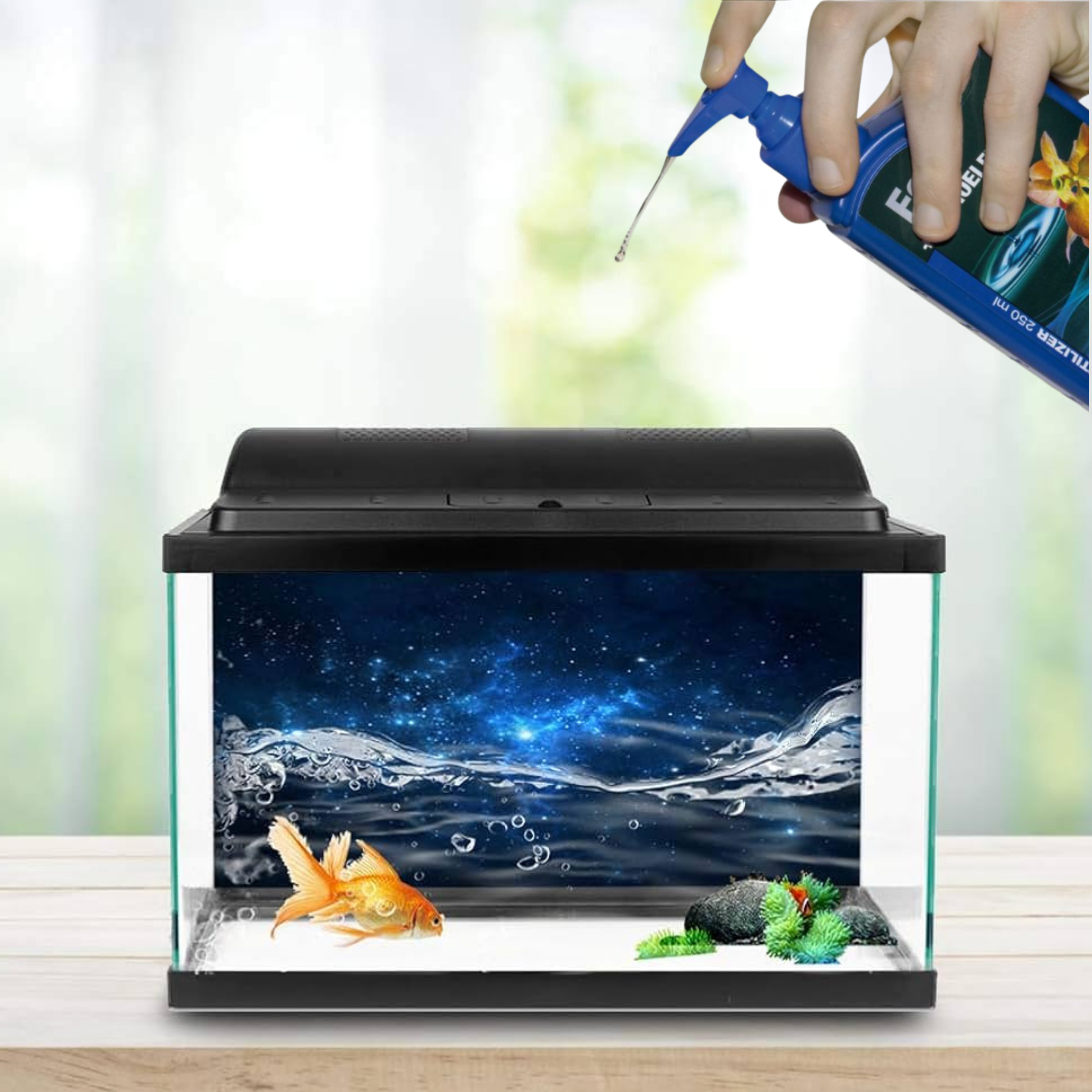 Akvaryum Sağlık / Bakım