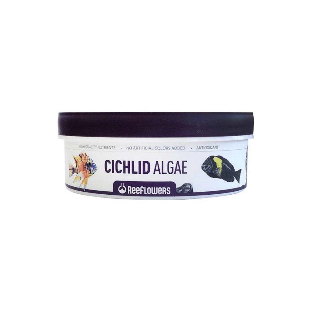Reeflowers Cichlid Algae Ciklet Balık Yemi 150 gr