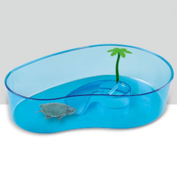 Kaplumbağa Akvaryumu Kapaksız